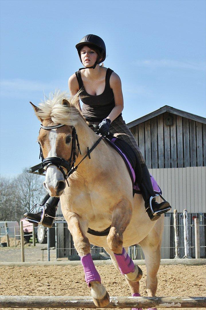 Anden særlig race Miss Jade - Spring :D billede 6