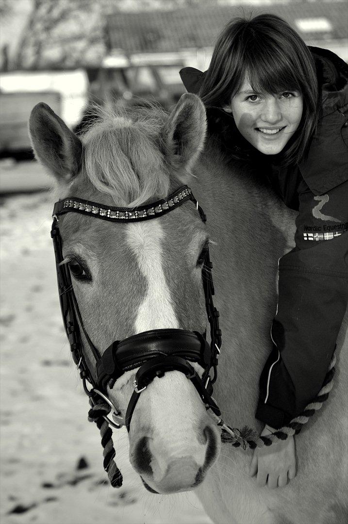 Anden særlig race Miss Jade billede 13