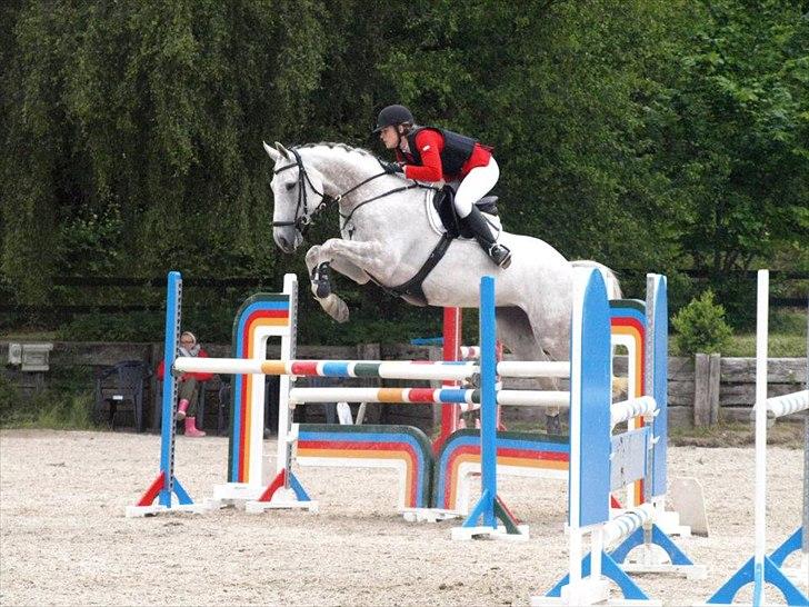 Anden særlig race Grey Girl - D.10/6-12: 
Stævne på BAL, vores første officielle LA*, fejlfri og nr. 7 - første uplaceret ud af 23. Røg desværre af i U-LA* over et spring, pga. en lorte afstand. Søde Grå sprang mig af på vej over, i et forsøg på at redde pilotens fejl!  billede 4