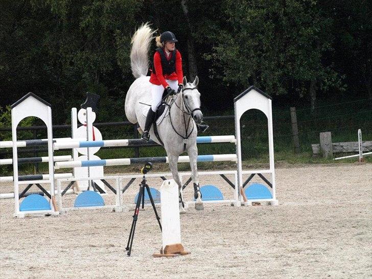 Anden særlig race Grey Girl - D. 10/6-12: 
Stævne på BAL, vores første officielle LA*, fejlfri og nr. 7 - første uplaceret ud af 23. Røg desværre af i U-LA* over et spring, pga. en lorte afstand. Søde Grå sprang mig af på vej over, i et forsøg på at redde pilotens fejl!  billede 12
