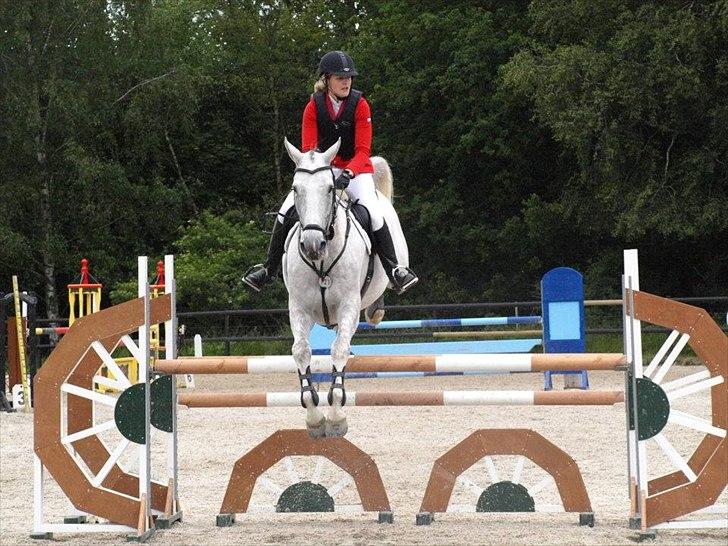 Anden særlig race Grey Girl - D. 10/6-12: 
Stævne på BAL, vores første officielle LA*, fejlfri og nr. 7 - første uplaceret ud af 23. Røg desværre af i U-LA* over et spring, pga. en lorte afstand. Søde Grå sprang mig af på vej over, i et forsøg på at redde pilotens fejl!  billede 18