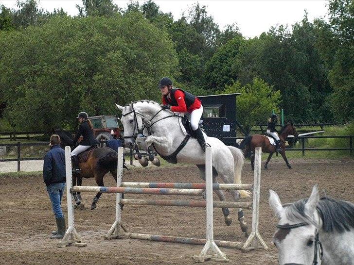 Anden særlig race Grey Girl - D. 10/6-12: 
Stævne på BAL, opvarmning til vores første LA*, o fejl ;-) billede 9
