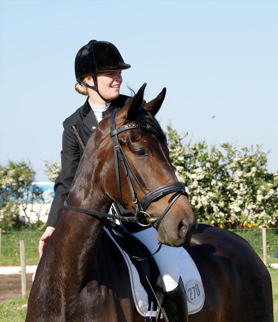 Dansk Varmblod Ranova - C-stævne i Løgstør maj 2012 billede 19