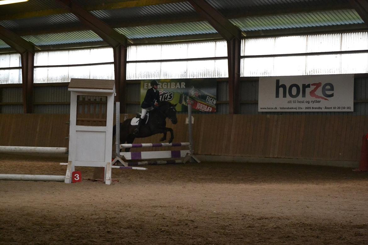 Anden særlig race Sorteper!!<3  - Spring taget af min søster billede 14