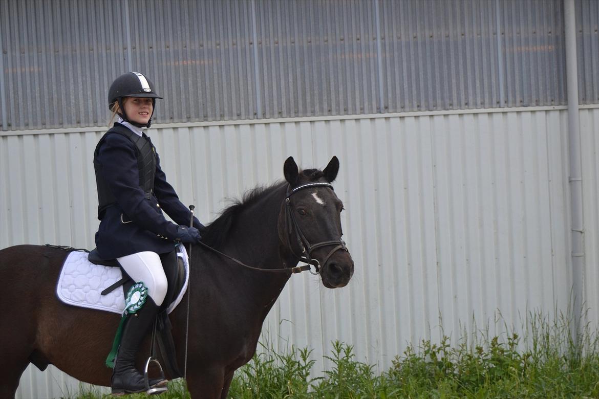 Anden særlig race Sorteper!!<3  - Stævne :) billede 1