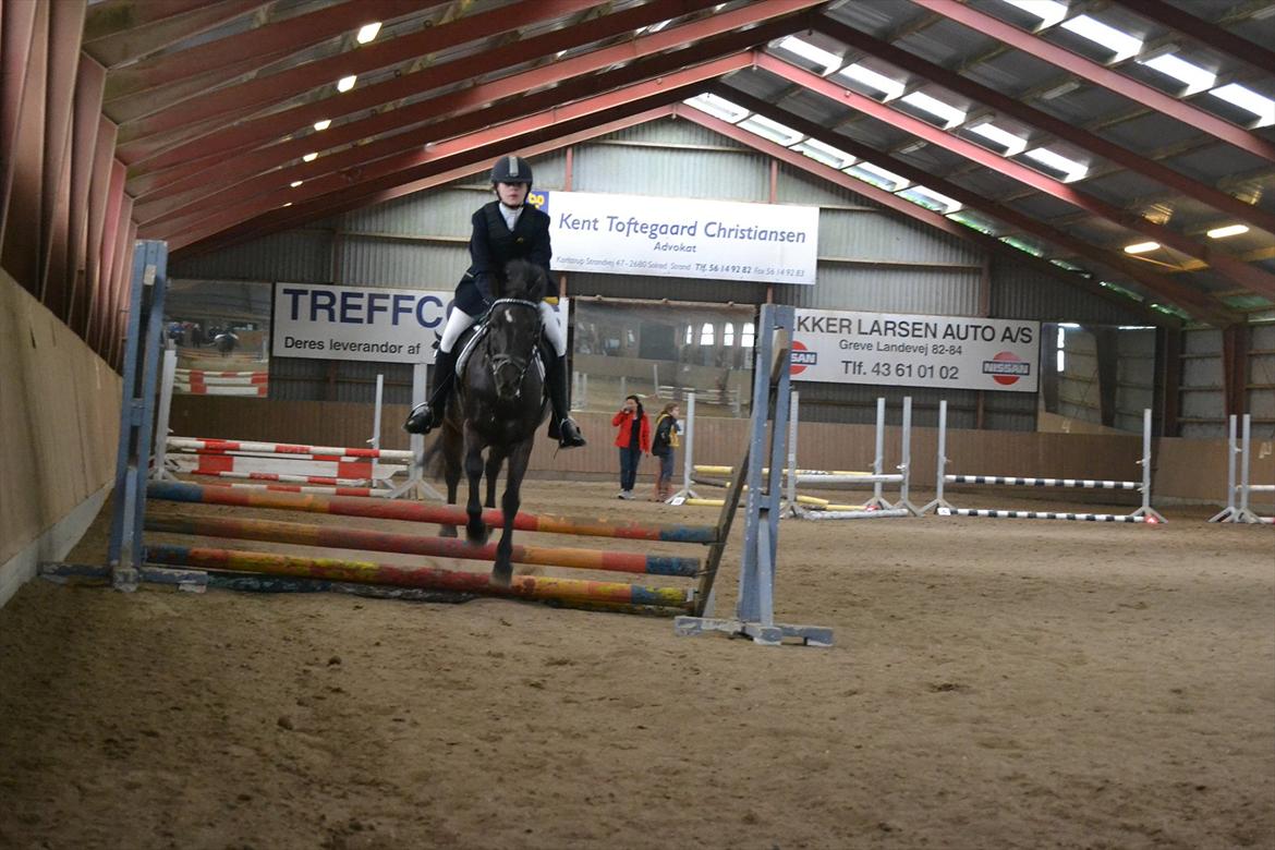 Anden særlig race Sorteper!!<3  - Spring taget af min søster billede 13