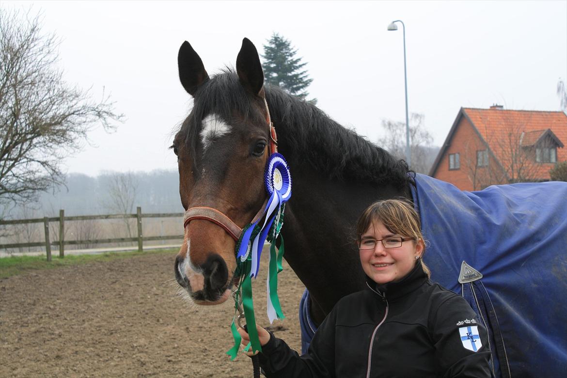 Dansk Varmblod Østergårdens Deleight - Efter vores første stævne.. :) billede 4