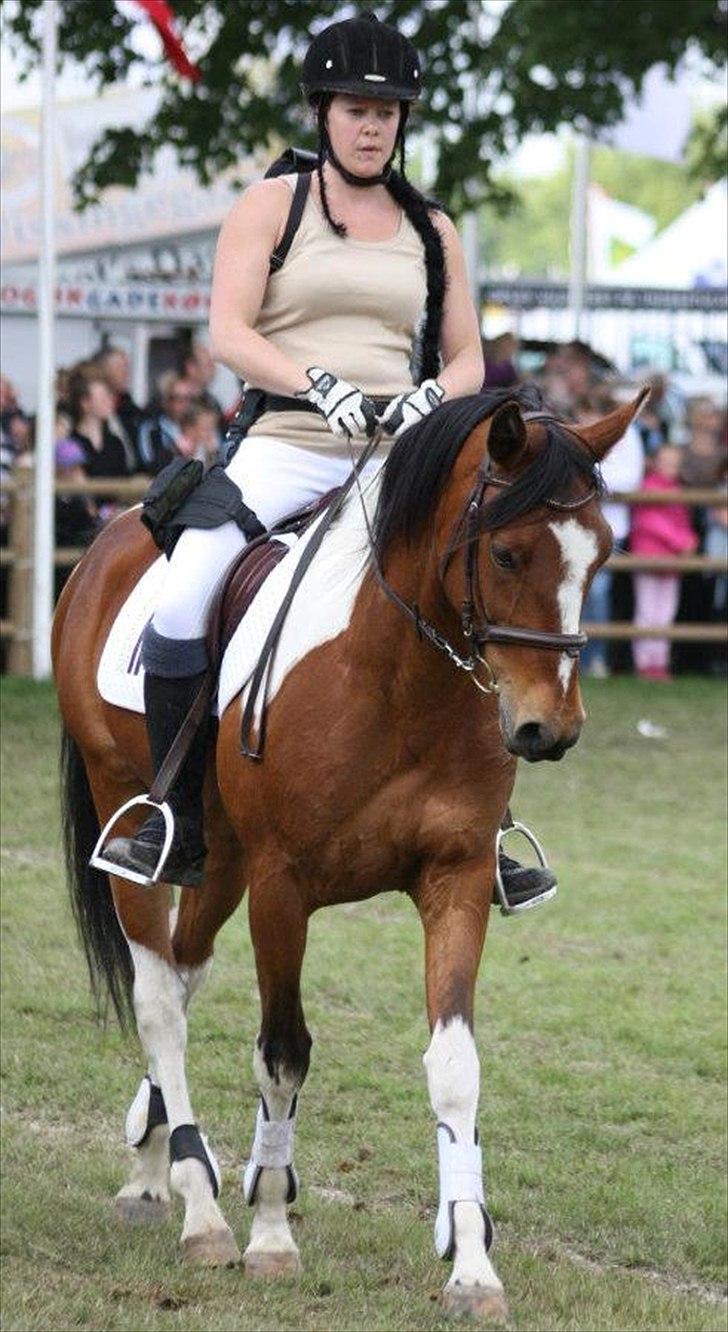 Pinto Humlegaardens Djinn - Roskilde Dyrskue 2012, Pintoshowet som Lara Croft, Tomb Raider billede 8