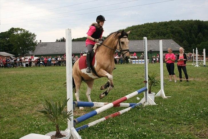 Pinto Hollands Aponion(L) - Ridelejr 2011 ;)
Opvisning <3 billede 20