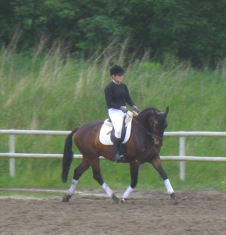 Anden særlig race Aeroplane  billede 18