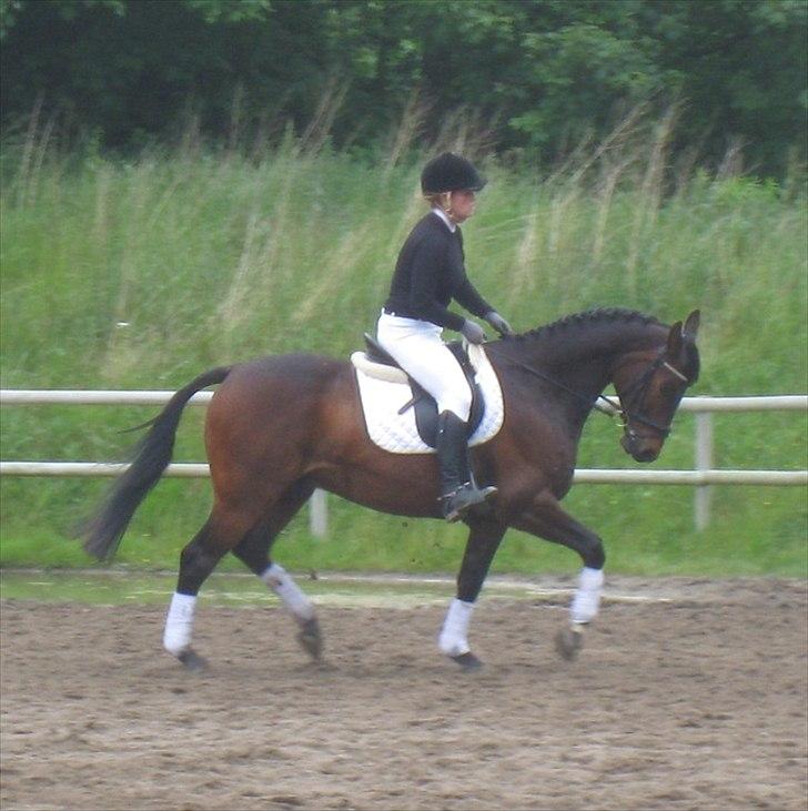 Anden særlig race Aeroplane  billede 19