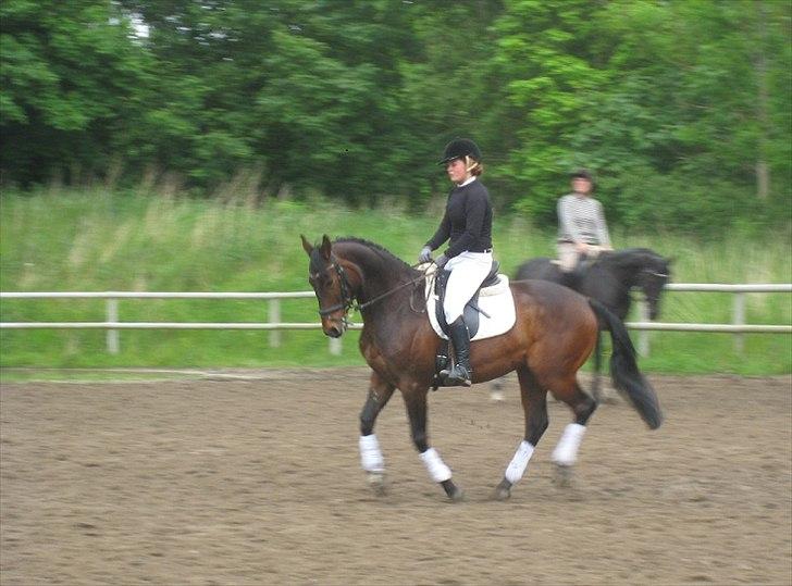 Anden særlig race Aeroplane  billede 20