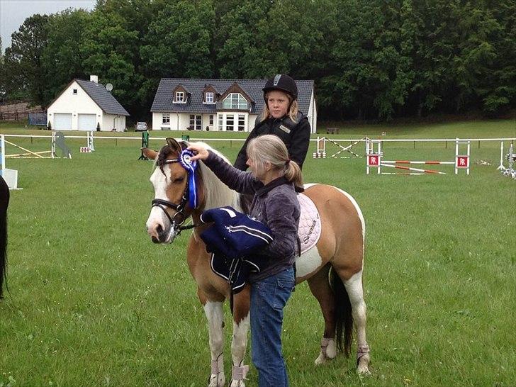 Anden særlig race Hedegaardens Savannah - JUBIIIII en ny blå roset til samlingen + et nyt blåt fleece dækken :D billede 16