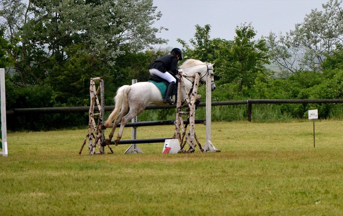 Anden særlig race Cedric Vasseur - When life give you a hundred reasons to cry, then give it thousands reasons to smile!<3 billede 19