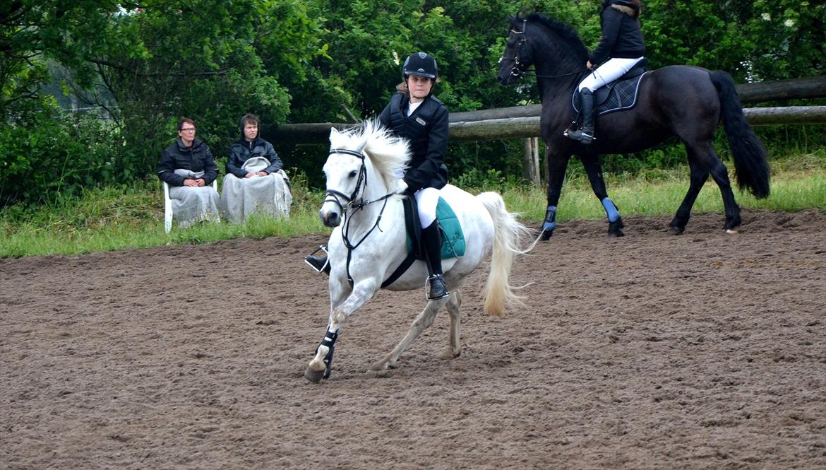 Anden særlig race Cedric Vasseur - TURK stævnet elsker dig!<3 billede 20