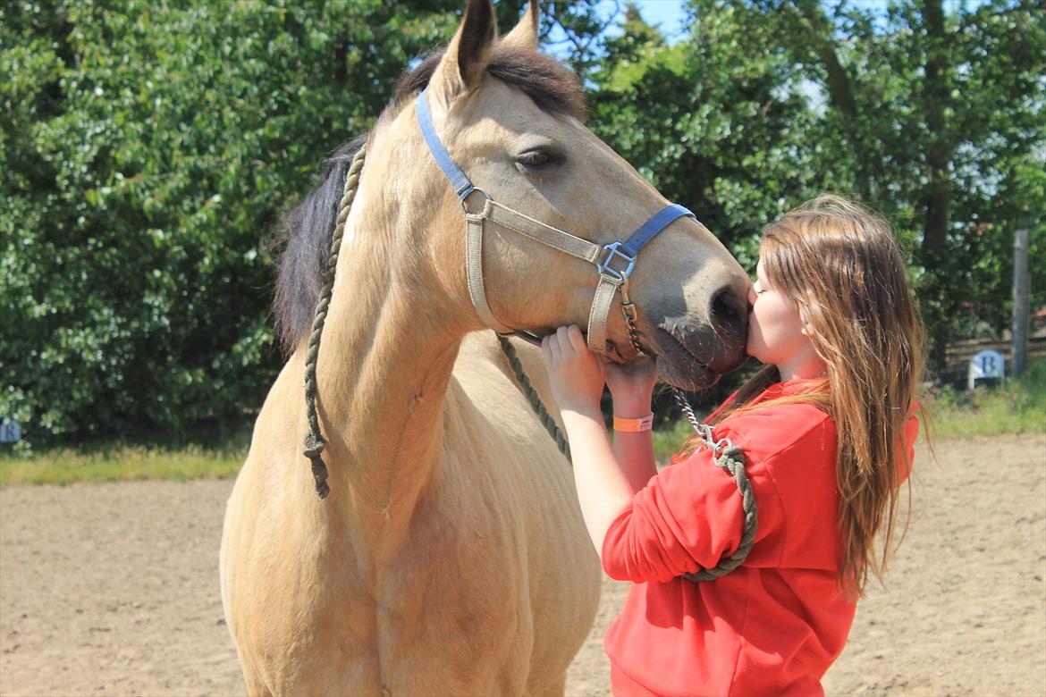 Palomino Skadekærs First Goldline (Grevinden) [Part] R.I.P - Velkommen til Grevindens profil! :-)
Min prinsesse<3. billede 2