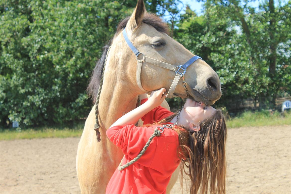 Palomino Skadekærs First Goldline (Grevinden) [Part] R.I.P - Du kan altid bringe et smil frem på mine læber <3. billede 6