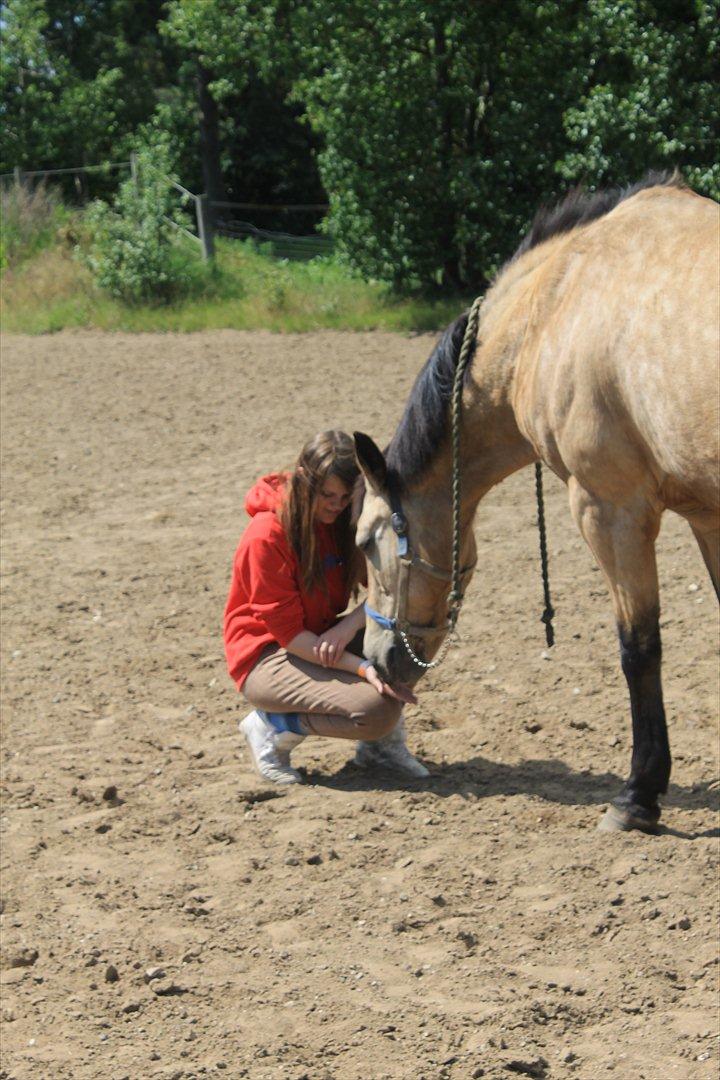 Palomino Skadekærs First Goldline (Grevinden) [Part] R.I.P - Jeg elsker dig<3. billede 8