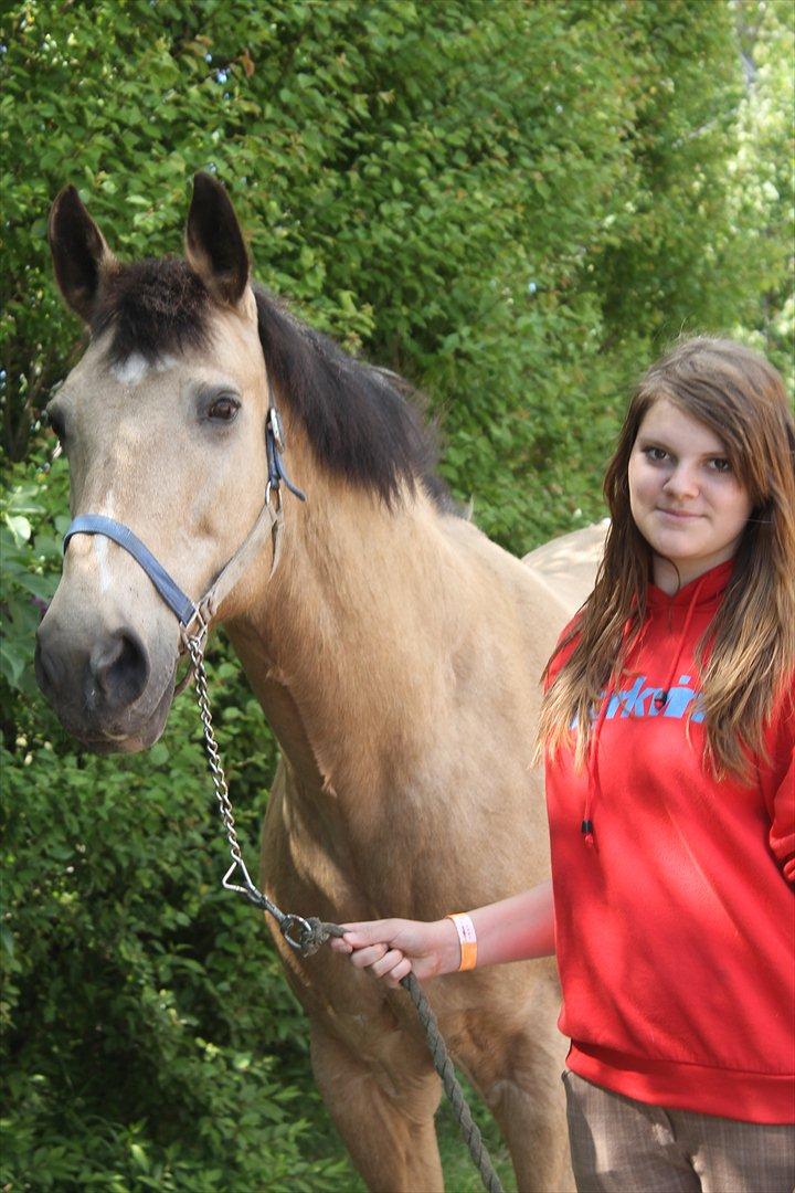 Palomino Skadekærs First Goldline (Grevinden) [Part] R.I.P billede 12