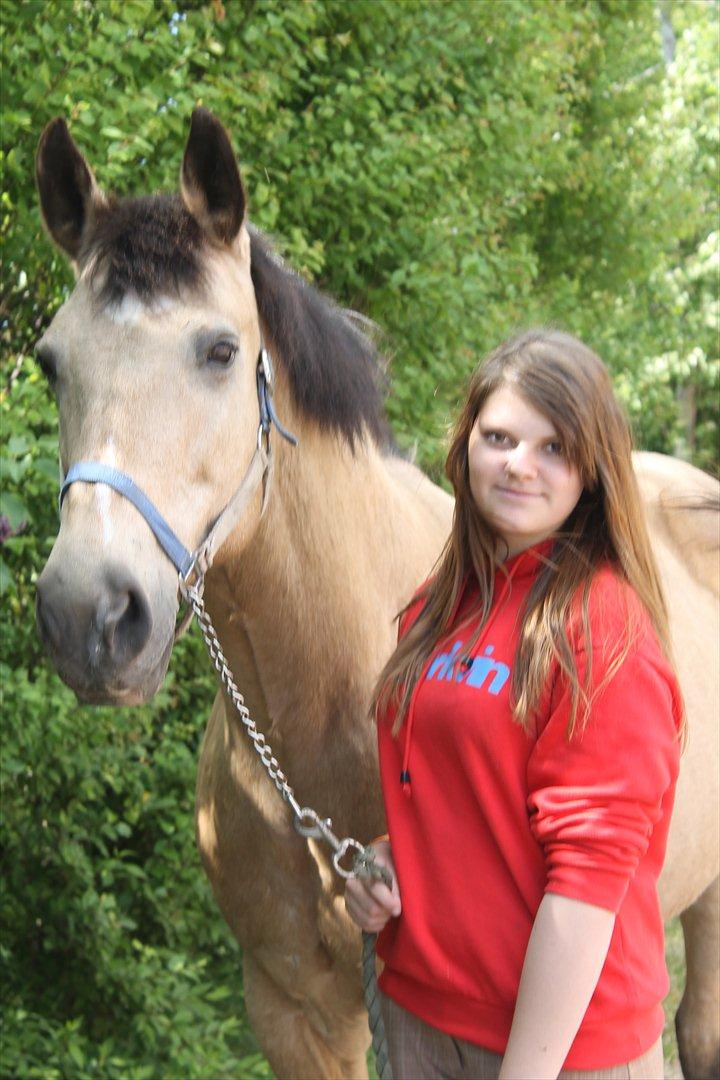 Palomino Skadekærs First Goldline (Grevinden) [Part] R.I.P billede 15