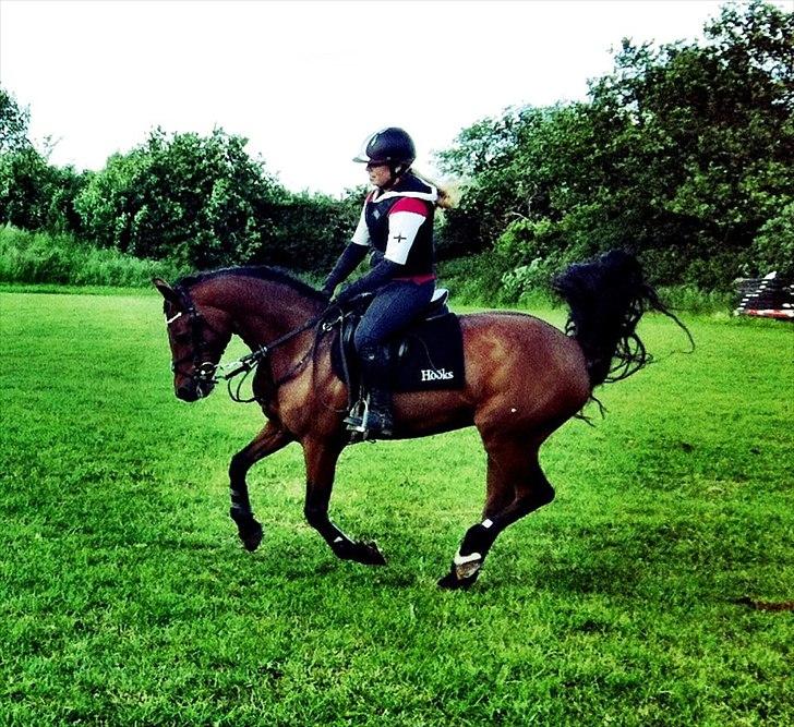 Connemara Søstholm Rapsody - A Pony - Spring træning i Juni 12' med Mona Holm :) billede 1