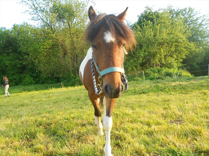 {{currentPhoto.altText}} billede {{currentPhoto.number}}