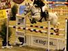 Irsk Sportspony Broad Way - A Pony