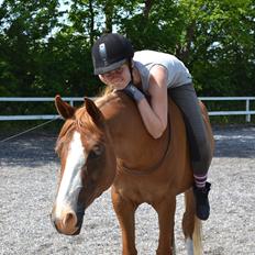 Anden særlig race Aichah