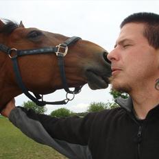 Anden særlig race Chasi (pony