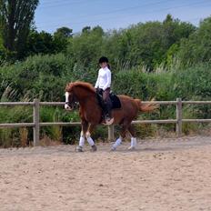 Anden særlig race Fønix R.I.P Minskat <3