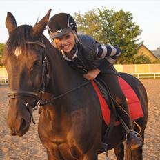 Welsh Cob (sec D) Dark Shadow <3