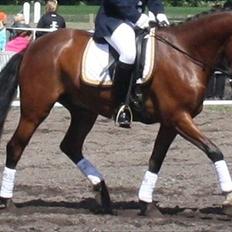 New Forest Holmens Rebus