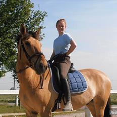 Anden særlig race Golden Guy *AKA Sune*