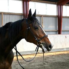 Traver Fit for fight<3