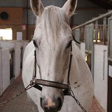 Anden særlig race Fleur