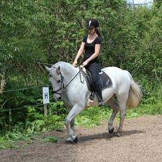 Anden særlig race Fleur