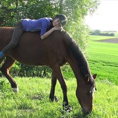 Anden særlig race Clarikken