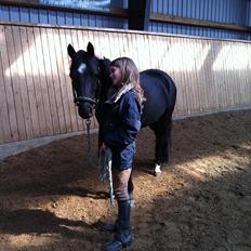 Anden særlig race Maccoya - solgt - tidligere pony :-)