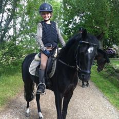 Anden særlig race Maccoya - solgt - tidligere pony :-)
