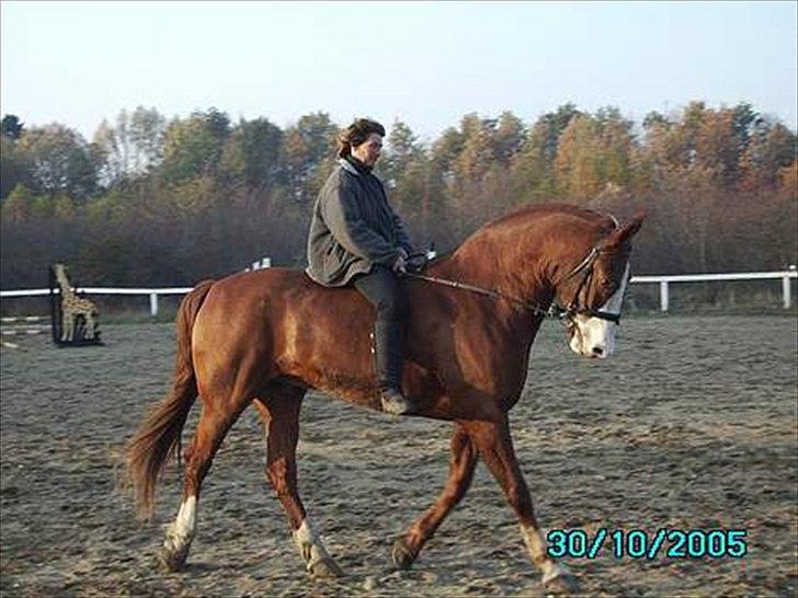 Frederiksborg Mulle billede 1