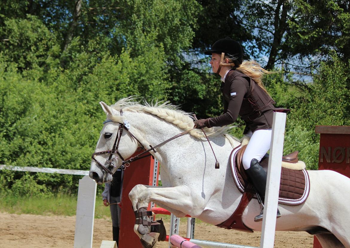 Connemara Kalle  - smukke<3 billede 17