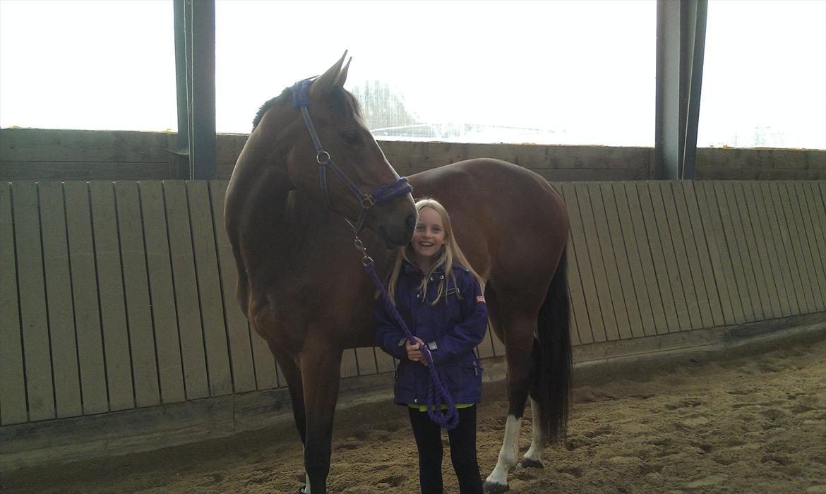 Fuldblod (XX) Rock The Socks - Min søster og Rock, første dag  JUNI 2012 *Foto: mig* billede 16