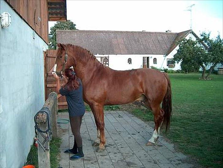 Frederiksborg Mulle billede 2