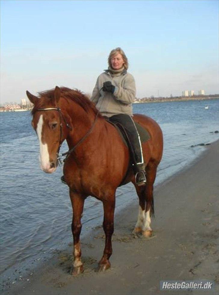 Frederiksborg Mulle billede 3