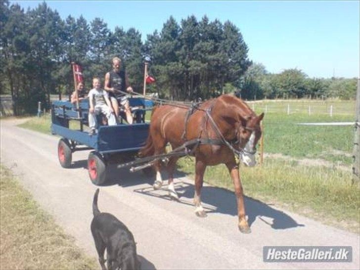 Frederiksborg Mulle billede 4