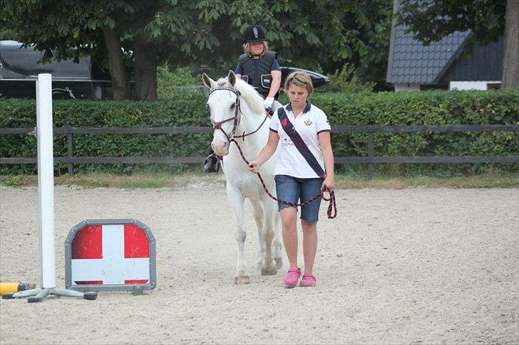 Anden særlig race Irish Patch - Alberte til ridestævne på IP 2011 billede 10