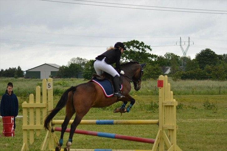 DSP Nørlunds Argentan SOLGT billede 15