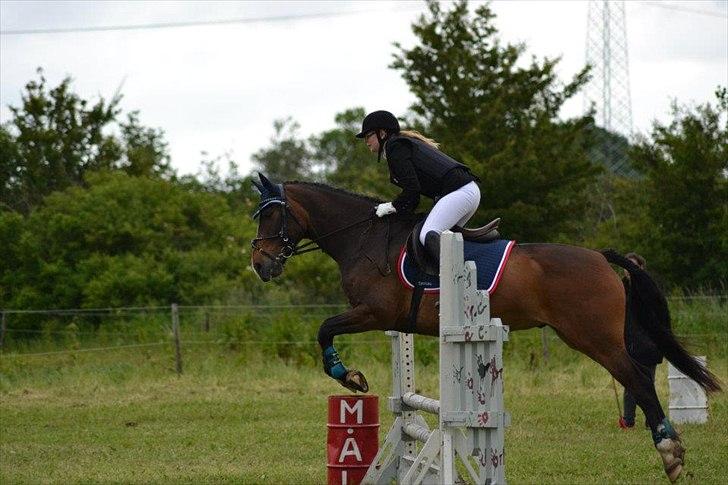 DSP Nørlunds Argentan SOLGT billede 16