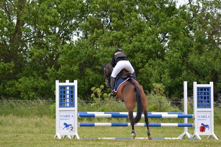 DSP Nørlunds Argentan SOLGT billede 17