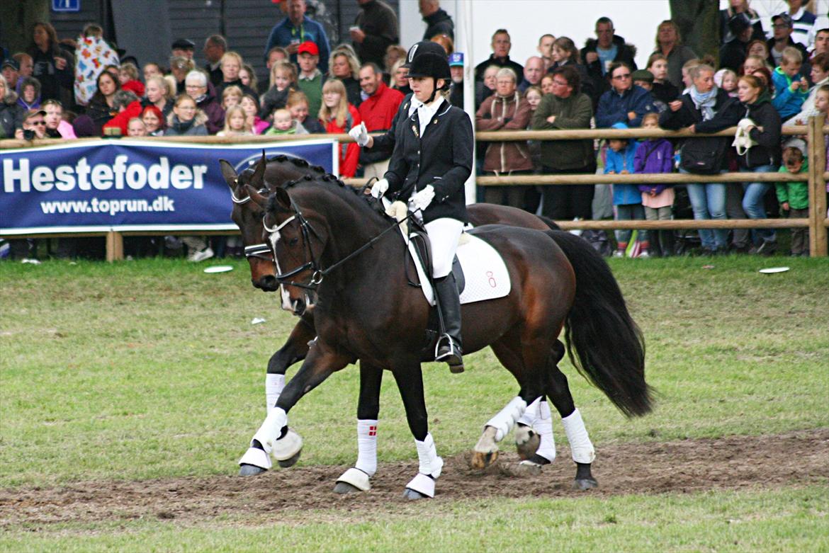 Oldenborg Fabienne af Hvarre - Roskildekvadrille 2012 , sammen med Christina Ebbesen på Sir Lacon billede 20